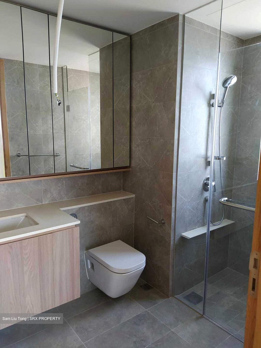 Twin Vew (D5), Apartment #594160741